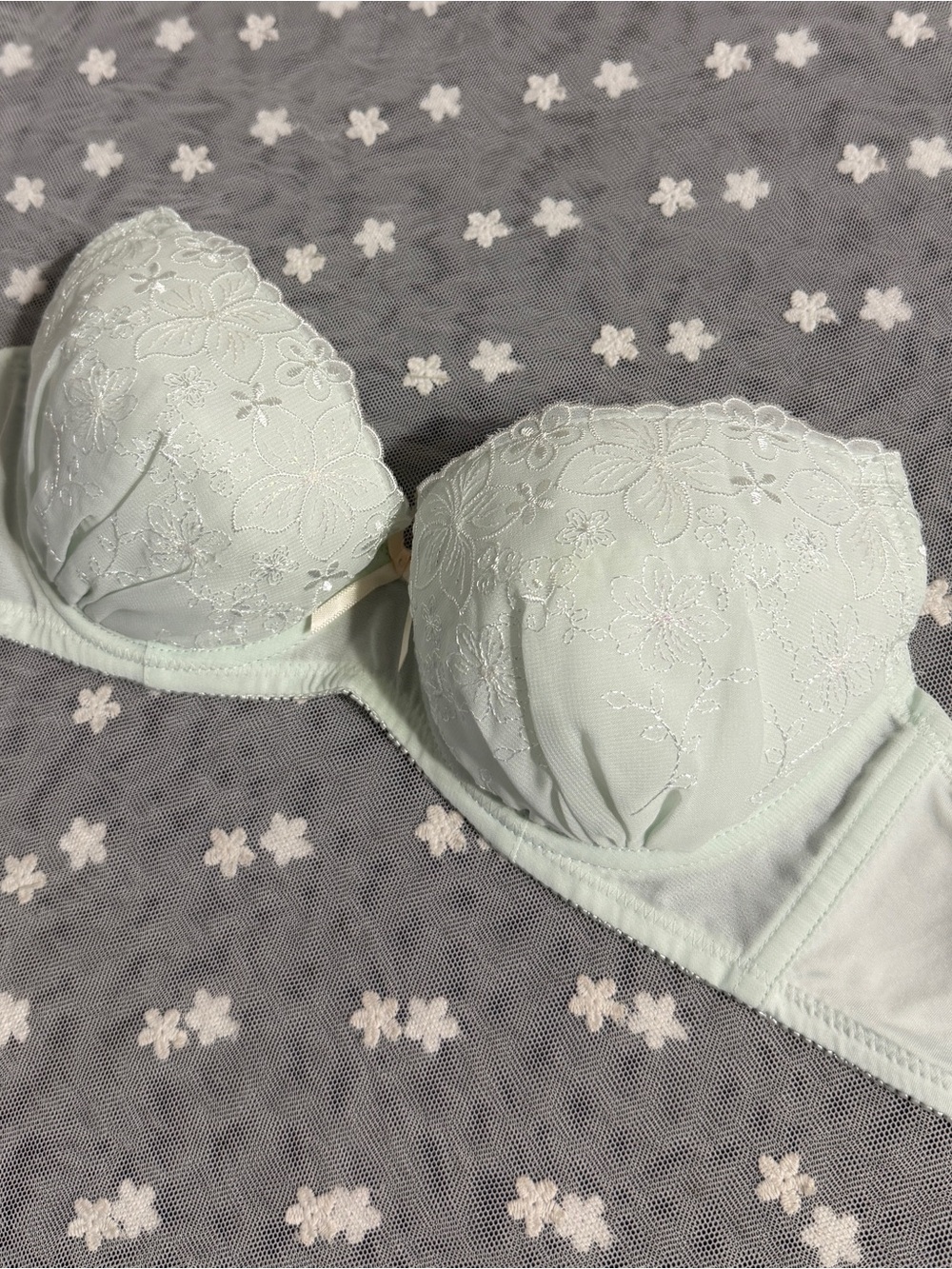 Free gift for order over $40! Japanese Glittery Embroidery Bra